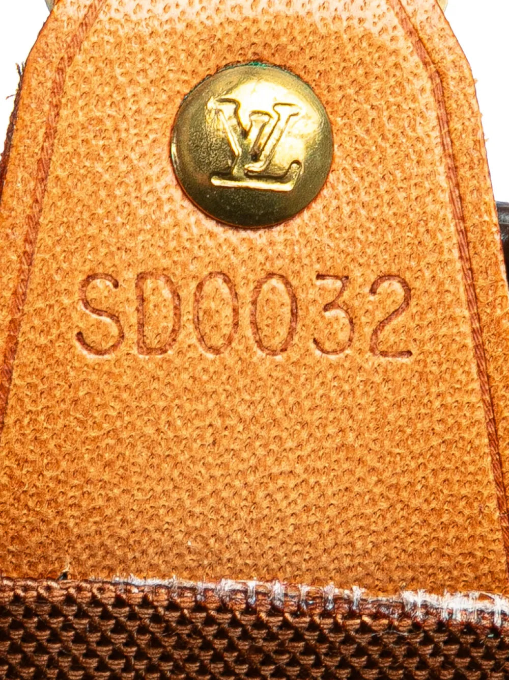 Pre-OwnedLouis Vuitton Pre-Owned2002 Monogram Vavin PM handbag