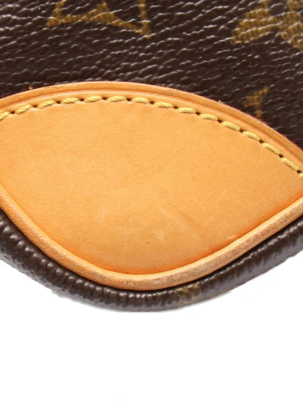 Pre-OwnedLouis Vuitton Pre-Owned2004 Amazon shoulder bag