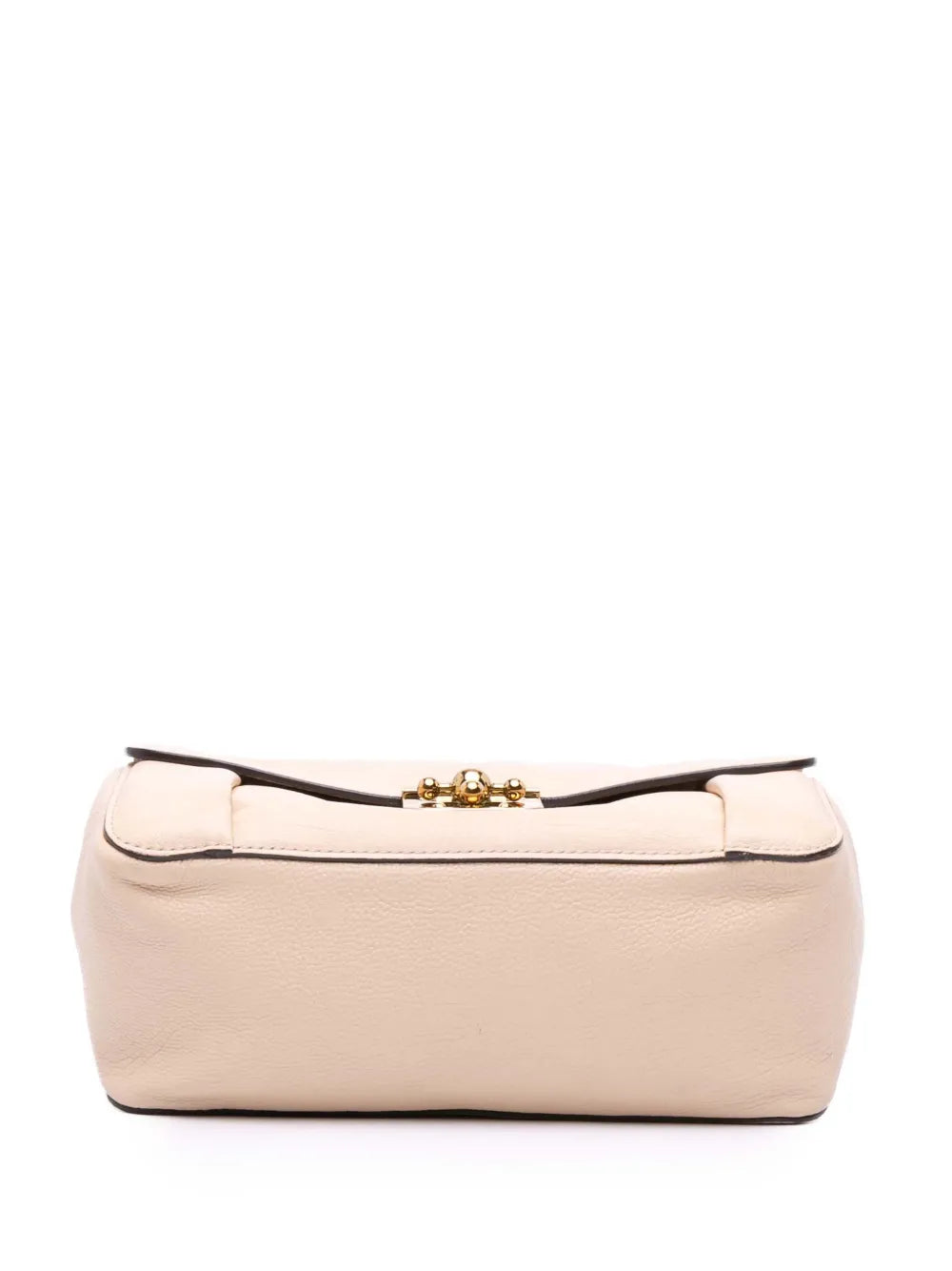Pre-OwnedChloPre-Owned2010-2025 Medium Goatskin Elsie crossbody bag
