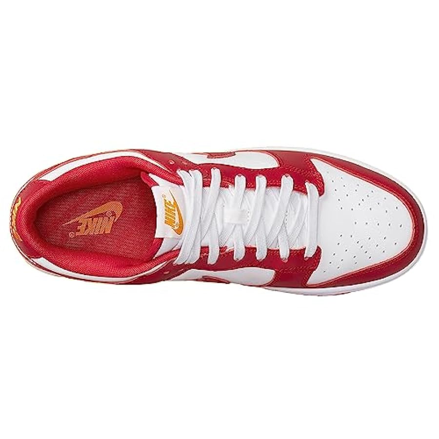 Nike Dunk Low Shoe