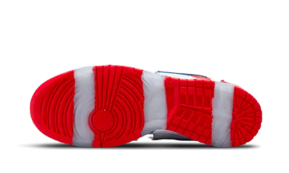Nike SB Dunk Low Shoes